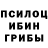 Галлюциногенные грибы Magic Shrooms Artur Shvedow