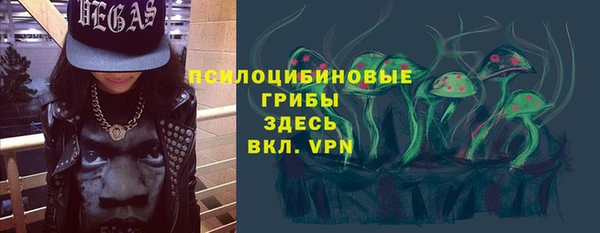 сатива Вяземский