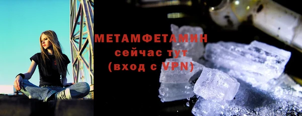 сатива Вяземский