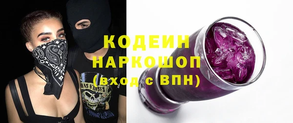 сатива Вяземский