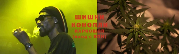 сатива Вяземский