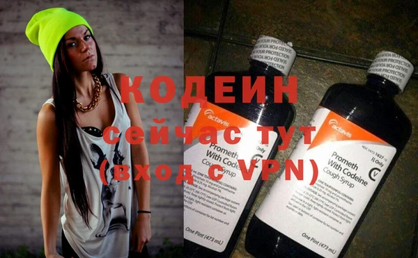 сатива Вяземский