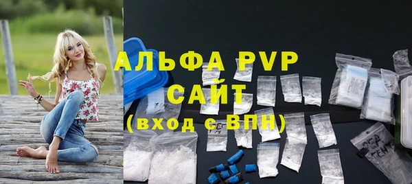 сатива Вяземский