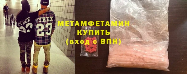 сатива Вяземский