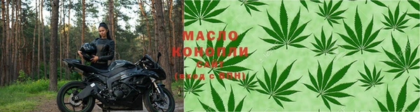 сатива Вяземский