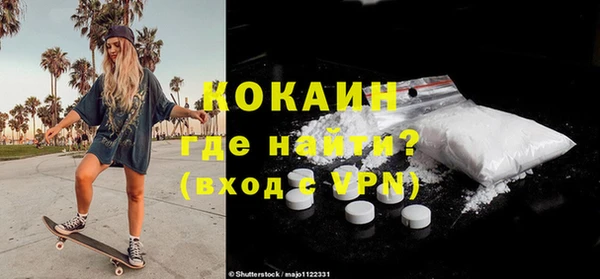 сатива Вяземский